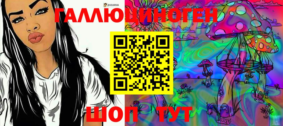 Псилоцибиновые грибы Psilocybe Каменск-Шахтинский